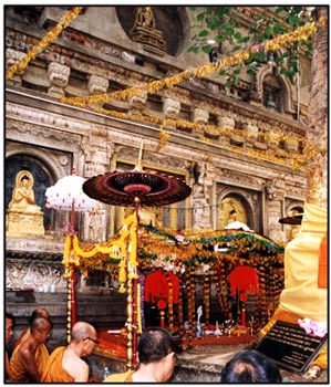 At the foot of the Bodhi tree