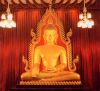 Filename=thai-buddha_08.jpg
Filesize=359KiB
Dimensions=503x461
Date added=Apr 20, 2009 thai-buddha_08.jpg