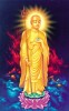 Filename=Ksitigarbha05.jpg
Filesize=773KiB
Dimensions=661x1061
Date added=May 15, 2009 Ksitigarbha05.jpg