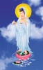 Filename=QuanYin005.jpg
Filesize=557KiB
Dimensions=607x970
Date added=May 15, 2009 QuanYin005.jpg