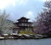 Filename=Bhutan_02.jpg
Filesize=104KiB
Dimensions=560x500
Date added=Jul 16, 2010 Bhutan_02.jpg