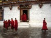 Filename=Bhutan_14.jpg
Filesize=95KiB
Dimensions=560x420
Date added=Jul 16, 2010 Bhutan_14.jpg