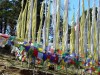 Filename=Bhutan_25.jpg
Filesize=129KiB
Dimensions=560x420
Date added=Jul 16, 2010 Bhutan_25.jpg