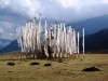 Filename=Bhutan_30.jpg
Filesize=75KiB
Dimensions=560x420
Date added=Jul 16, 2010 Bhutan_30.jpg