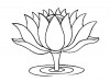 Filename=1lotus02.jpg
Filesize=29KiB
Dimensions=500x376
Date added=May 14, 2009 1lotus02.jpg