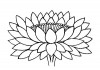 Filename=1lotus04.jpg
Filesize=37KiB
Dimensions=500x353
Date added=May 14, 2009 1lotus04.jpg