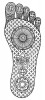 Filename=dfoot02.jpg
Filesize=65KiB
Dimensions=275x600
Date added=May 14, 2009 dfoot02.jpg