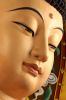 Filename=02buddha-profile01.jpg
Filesize=107KiB
Dimensions=305x461
Date added=Mar 01, 2009 02buddha-profile01.jpg
