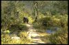 Filename=IMG0006.jpg
Filesize=135KiB
Dimensions=768x512
Date added=Sep 29, 2013 IMG0006.jpg