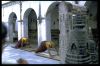 Filename=IMG0016.jpg
Filesize=69KiB
Dimensions=768x512
Date added=Sep 29, 2013 IMG0016.jpg