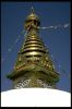 Filename=IMG0018.jpg
Filesize=48KiB
Dimensions=512x768
Date added=Sep 29, 2013 IMG0018.jpg