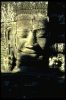 Filename=IMG0068.jpg
Filesize=85KiB
Dimensions=512x768
Date added=Sep 29, 2013 IMG0068.jpg