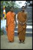Filename=IMG0075.jpg
Filesize=73KiB
Dimensions=512x768
Date added=Sep 29, 2013 IMG0075.jpg