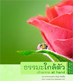 Filename=dharmamag_44b.pdf
Filesize=1015KiB
Dimensions=0x0
Date added=Jun 20, 2010 dharmamag_44b.pdf