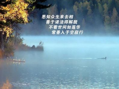 点选作品以查看原图