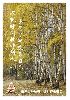 作品名=2-13.gif
作品尺寸=652KiB
作品尺寸768x1087
加入日期七月 11, 2011 2-13.gif