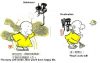 作品名=ATT00005.jpg
作品尺寸=41KiB
作品尺寸569x363
加入日期三月 09, 2011 ATT00005.jpg
