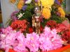 作品名=DSCF0973.jpg
作品尺寸=751KiB
作品尺寸2016x1512
加入日期三月 09, 2011 DSCF0973.jpg