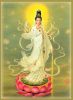 作品名=Kuang_Yin1.jpg
作品尺寸=51KiB
作品尺寸358x485
加入日期三月 09, 2011 Kuang_Yin1.jpg