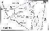 作品名=Kusinara.gif
作品尺寸=34KiB
作品尺寸579x375
加入日期三月 09, 2011 Kusinara.gif