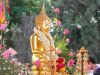 作品名=ThaiBuddha28229.jpg
作品尺寸=47KiB
作品尺寸480x360
加入日期三月 09, 2011 ThaiBuddha28229.jpg