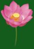 作品名=bg11.jpg
作品尺寸=8KiB
作品尺寸206x297
加入日期七月 11, 2011 bg11.jpg