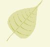 作品名=bodhi_leaf.gif
作品尺寸=10KiB
作品尺寸458x434
加入日期三月 09, 2011 bodhi_leaf.gif