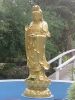 作品名=guanyin.jpg
作品尺寸=30KiB
作品尺寸240x320
加入日期三月 09, 2011 guanyin.jpg