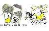 作品名=monk2.gif
作品尺寸=180KiB
作品尺寸580x370
加入日期七月 11, 2011 monk2.gif